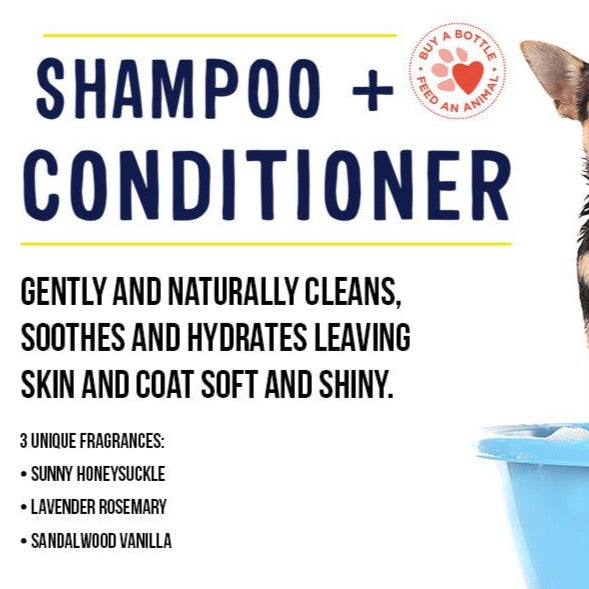 Sunny Honeysuckle Shampoo + Conditioner For Dogs And Cats - m.barc Naturals